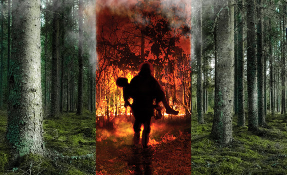 Берегите природу — не жгите костры: с 26 апреля в Югре устанавливается пожароопасный сезон