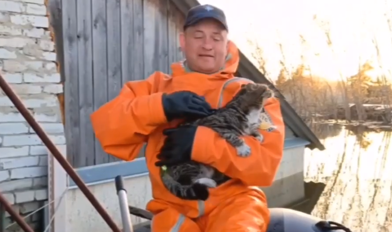 Зверей в беде не бросим: югорские спасатели эвакуировали кота Кузю из затопленного дома