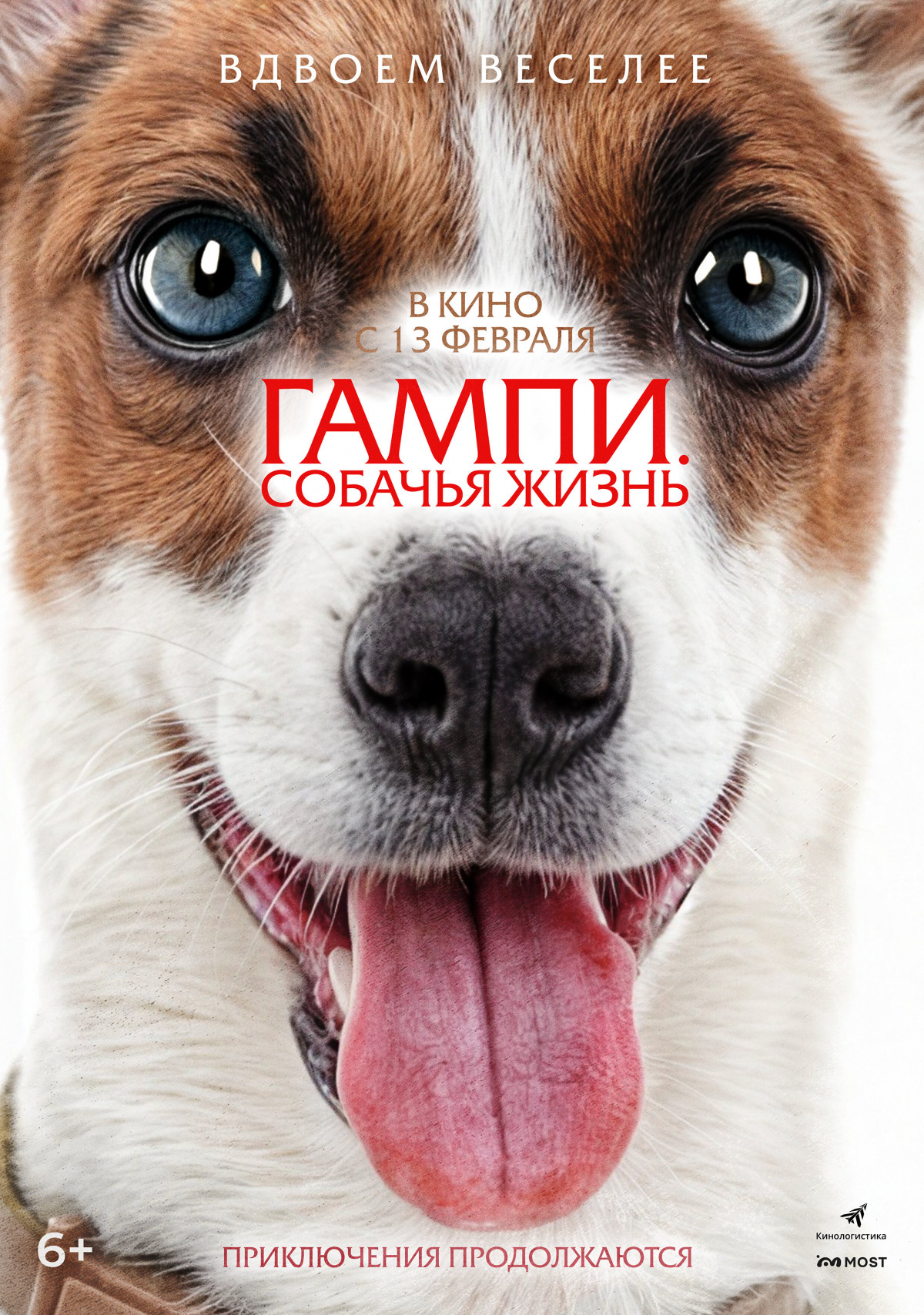 Фотография для Гампи. Собачья жизнь