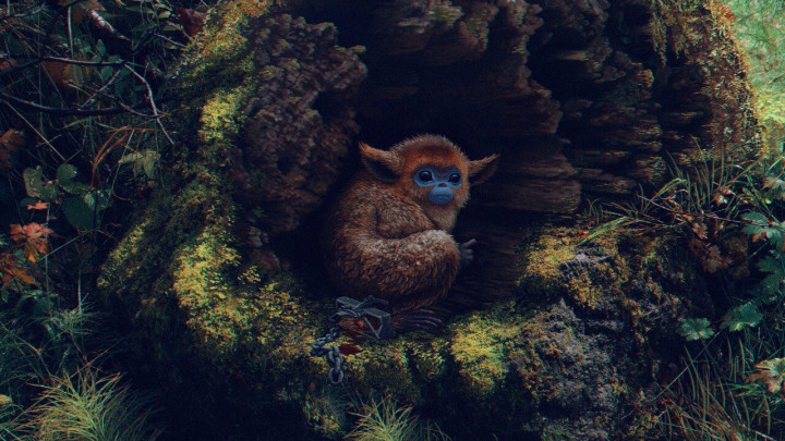 Фотография для Очи