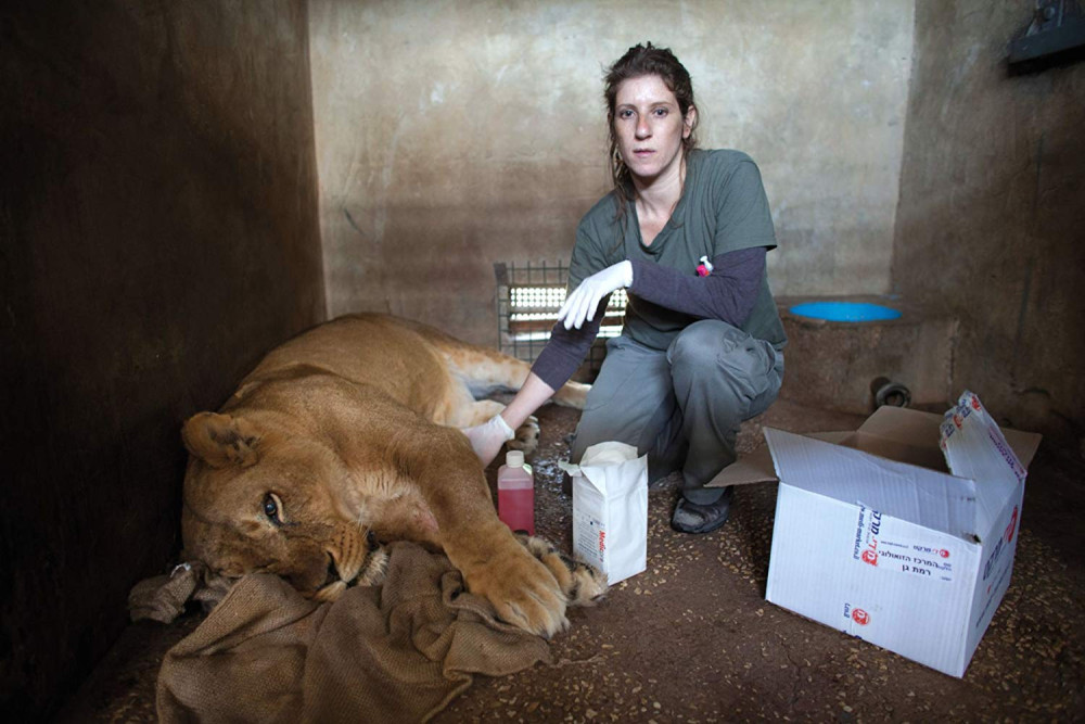 Фотография  для Святой Фёдор Томский. Тайна сибирского старца