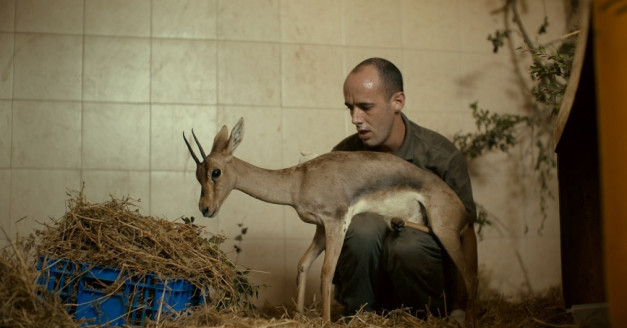 Фотография  для Святой Фёдор Томский. Тайна сибирского старца