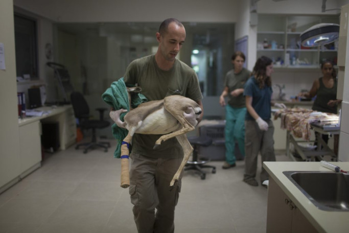 Фотография  для Святой Фёдор Томский. Тайна сибирского старца