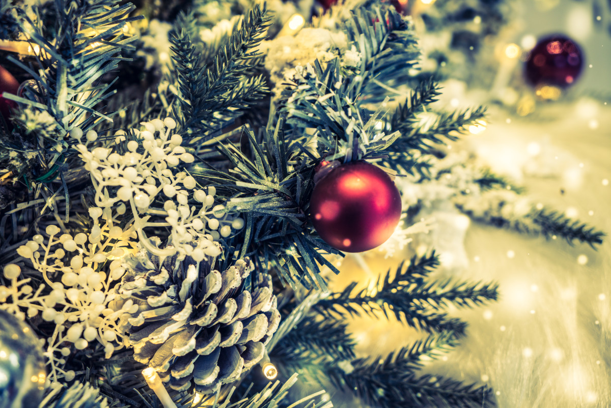 Фотография  для Нейро-ёлка