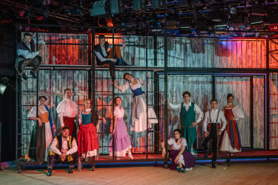 Новогодний серпантин. Собака на сене