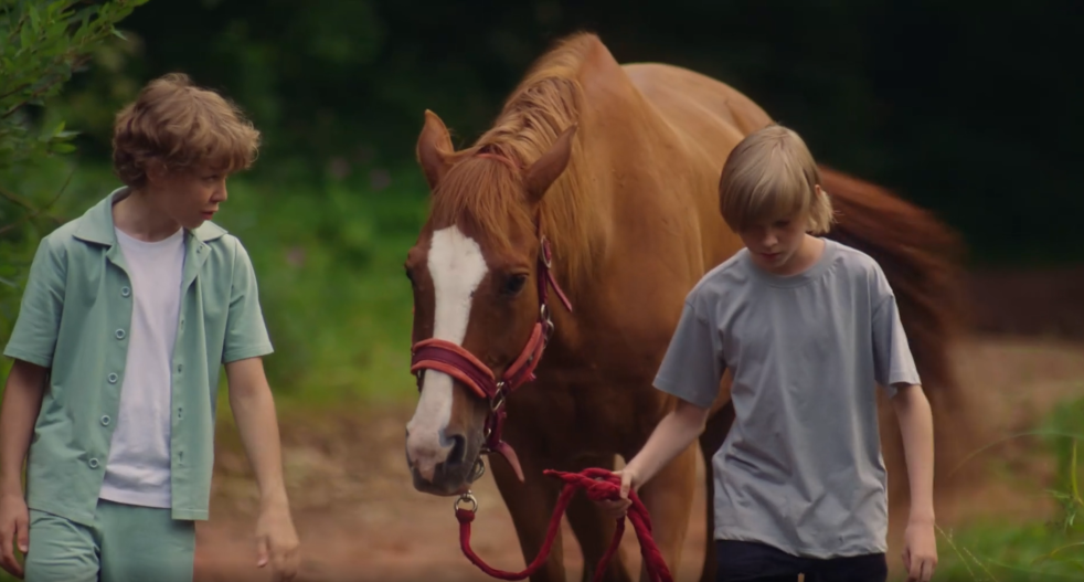 Фотография  для Сивка-Бурка
