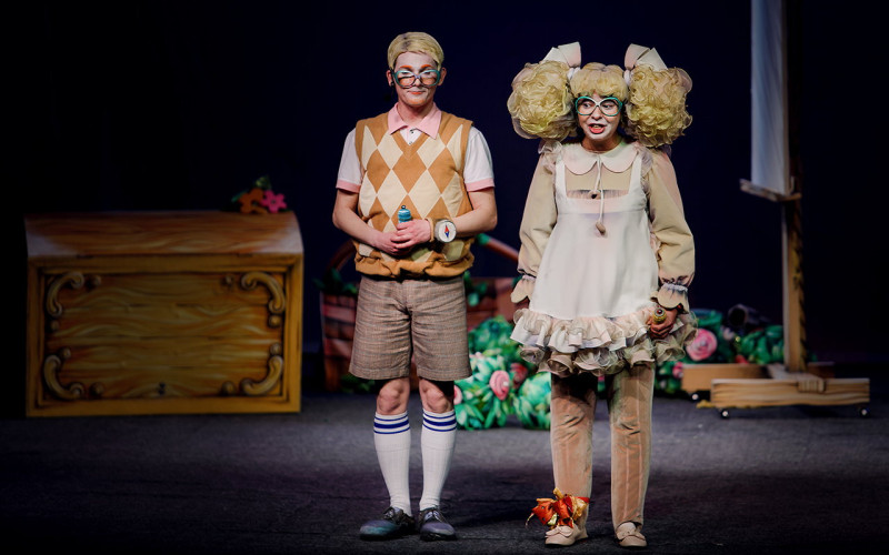 Фотография  для Пеппи Длинныйчулок