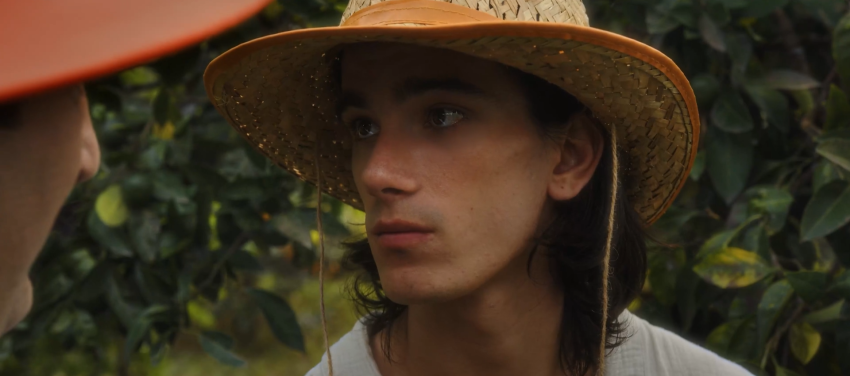 Фотография  для Мандариния — страна чудес