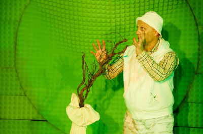 Посадить дерево