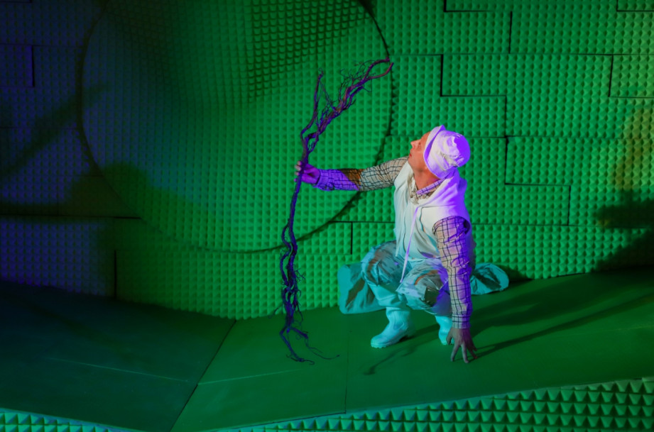 Фотография  для Посадить дерево