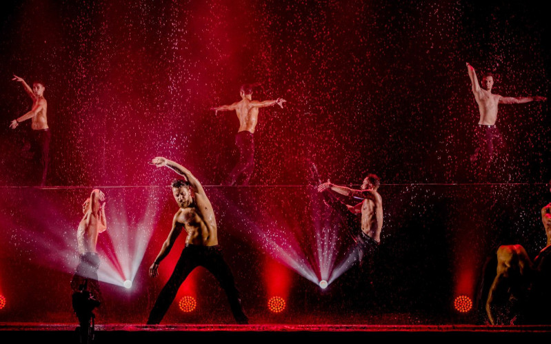 Фотография  для Шоу под дождём V. Признание в любви