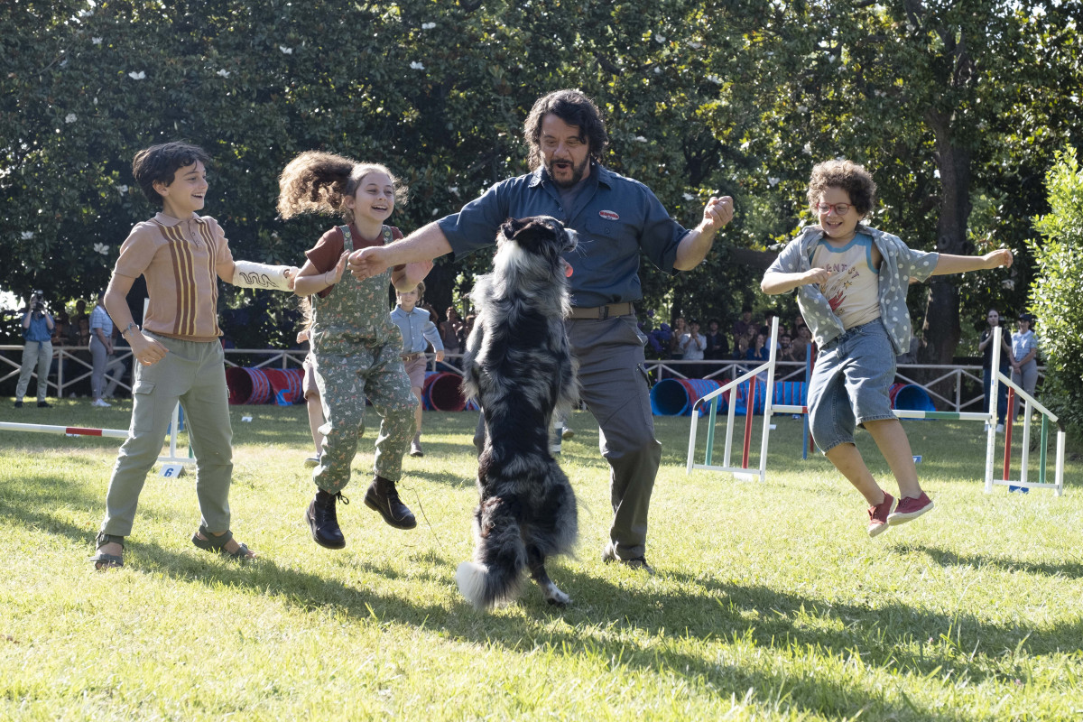 Фотография  для Академия четвероногих