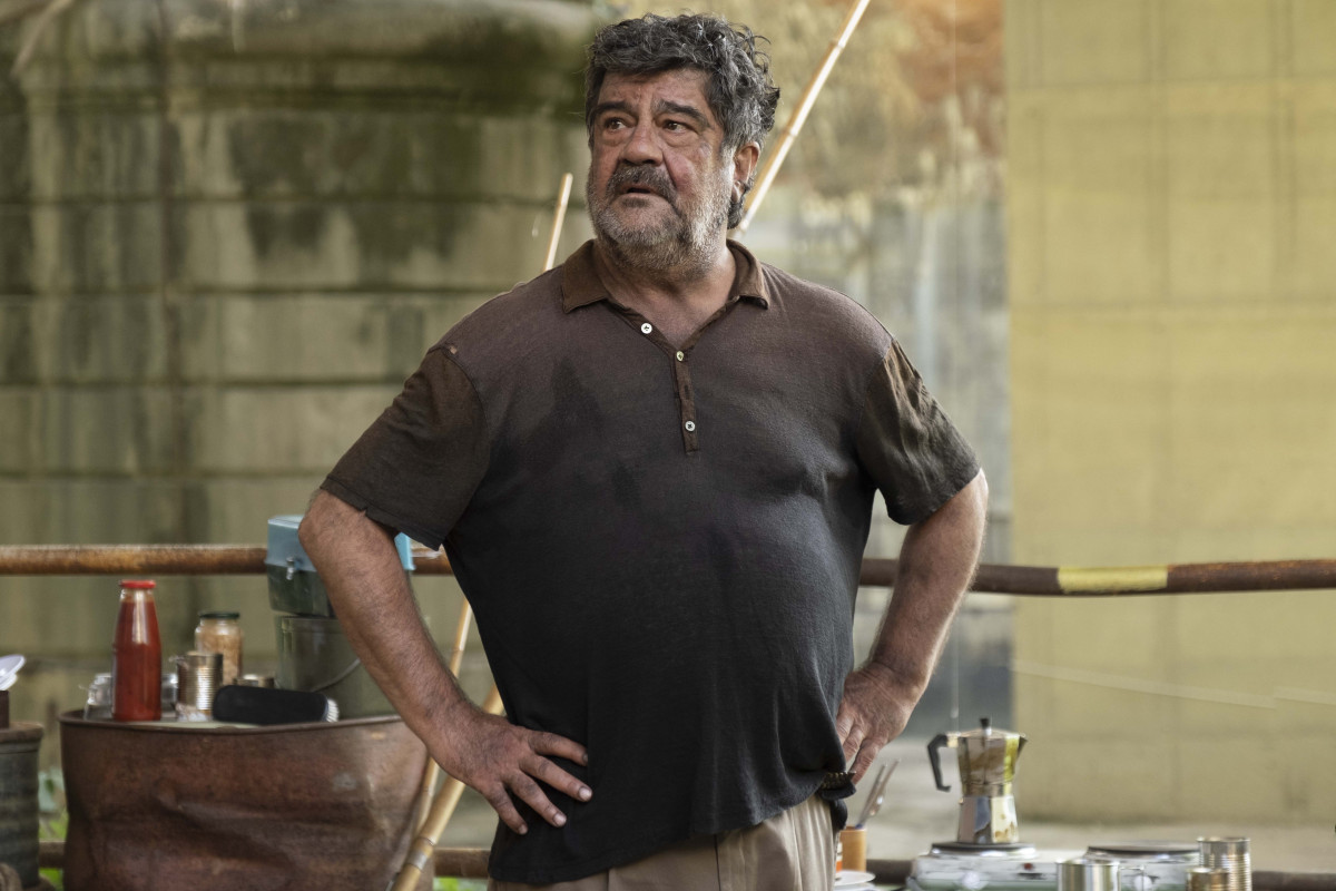 Фотография  для Академия четвероногих