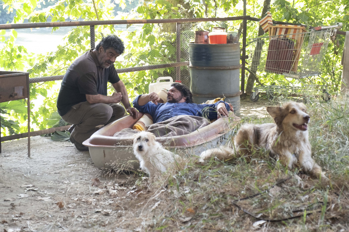 Фотография  для Халима