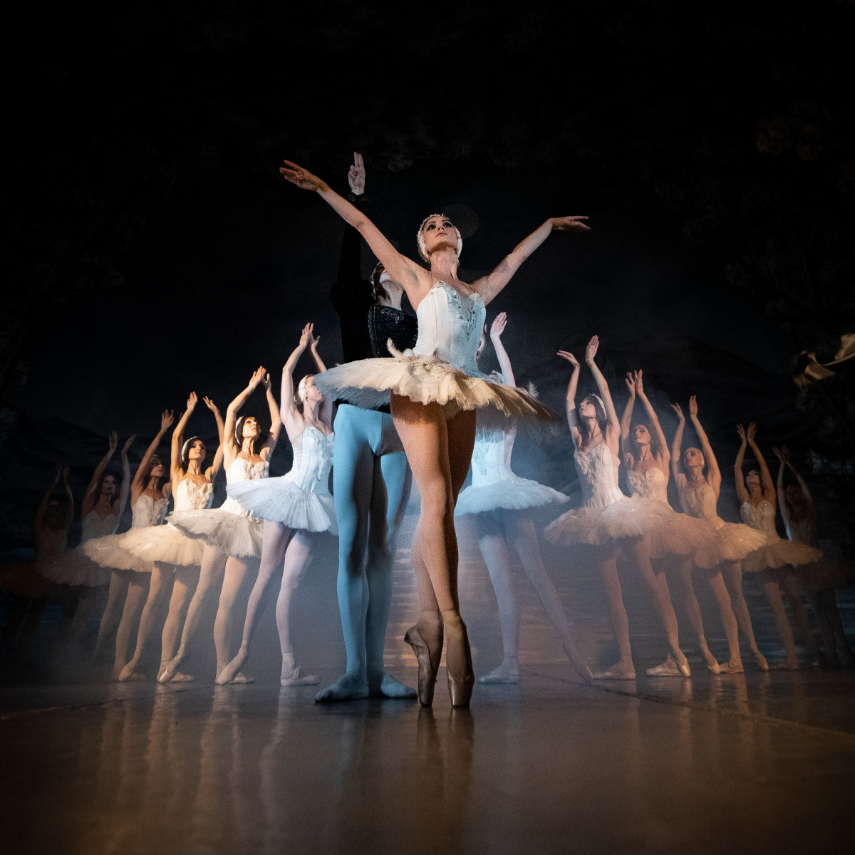 Фотография  для Манюня: Новогодние приключения