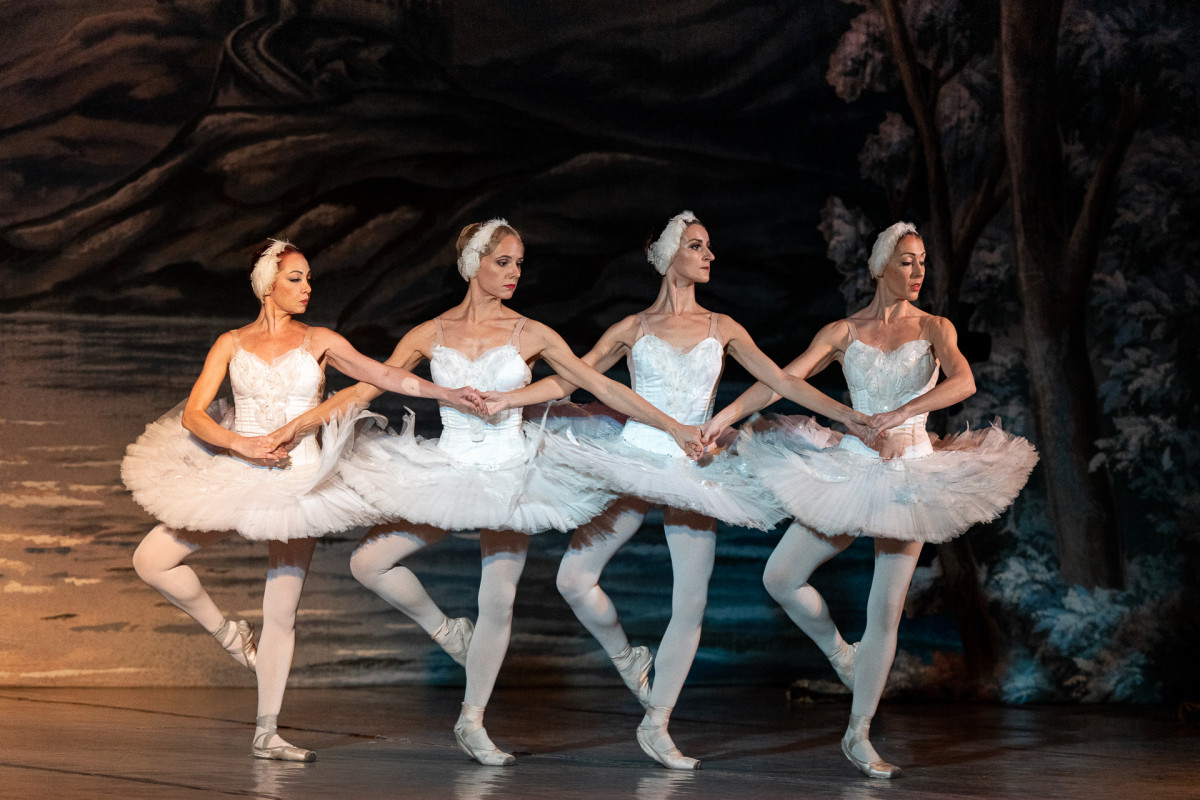 Фотография  для Манюня: Новогодние приключения