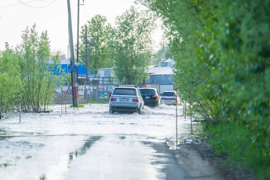 В Нижневартовске введен режим ЧС: волонтеры спасают животных, брошенных на затопленных участках