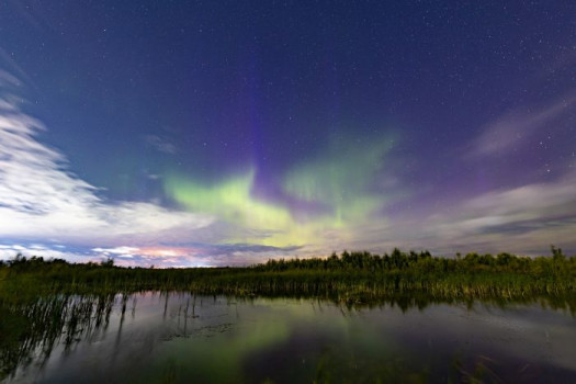 Фото: соцсети Рамиля Нуриева