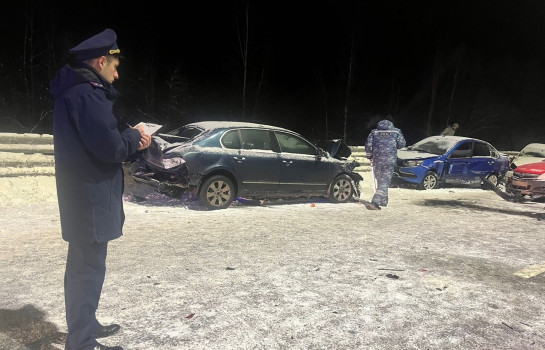 В ДТП под Новгородом, где столкнулось около 50 машин, пострадали 16 человек