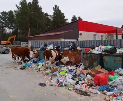 Село Угут Сургутского района погрязло в мусоре: он вываливается из наполненных баков