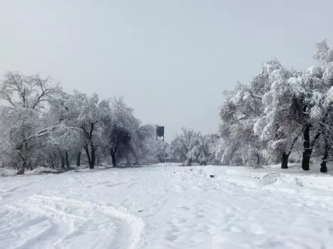 Как ухаживать за кожей зимой, чтобы не навредить здоровью: совет врача-косметолога