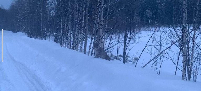 Фото: Природнадзор Югры