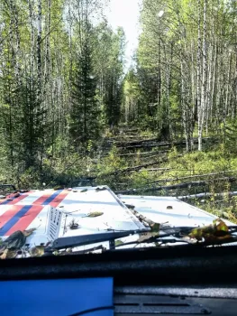 В Нижневартовском районе в болоте утонули сразу два человека