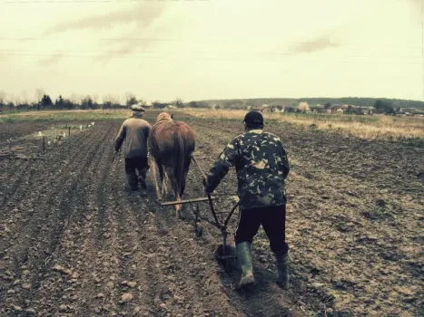 Рассыпьте крупу по грядкам: будете завалены урожаем по уши — инновации предков