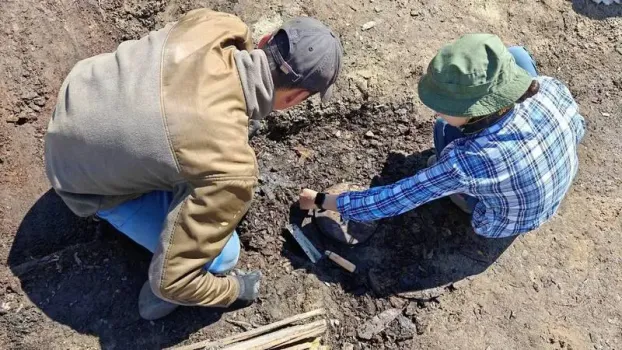 Археологи из Сургута сообщили об уникальных находках арктической экспедиции