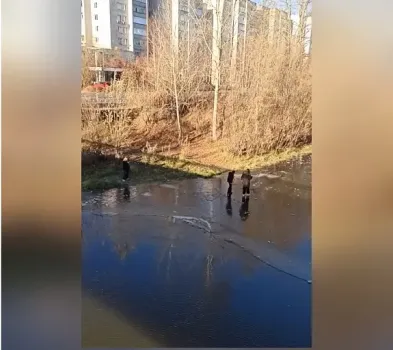 Сургутские подростки рискуют жизнью, выходя на тонкий лёд ради видео в соцсетях