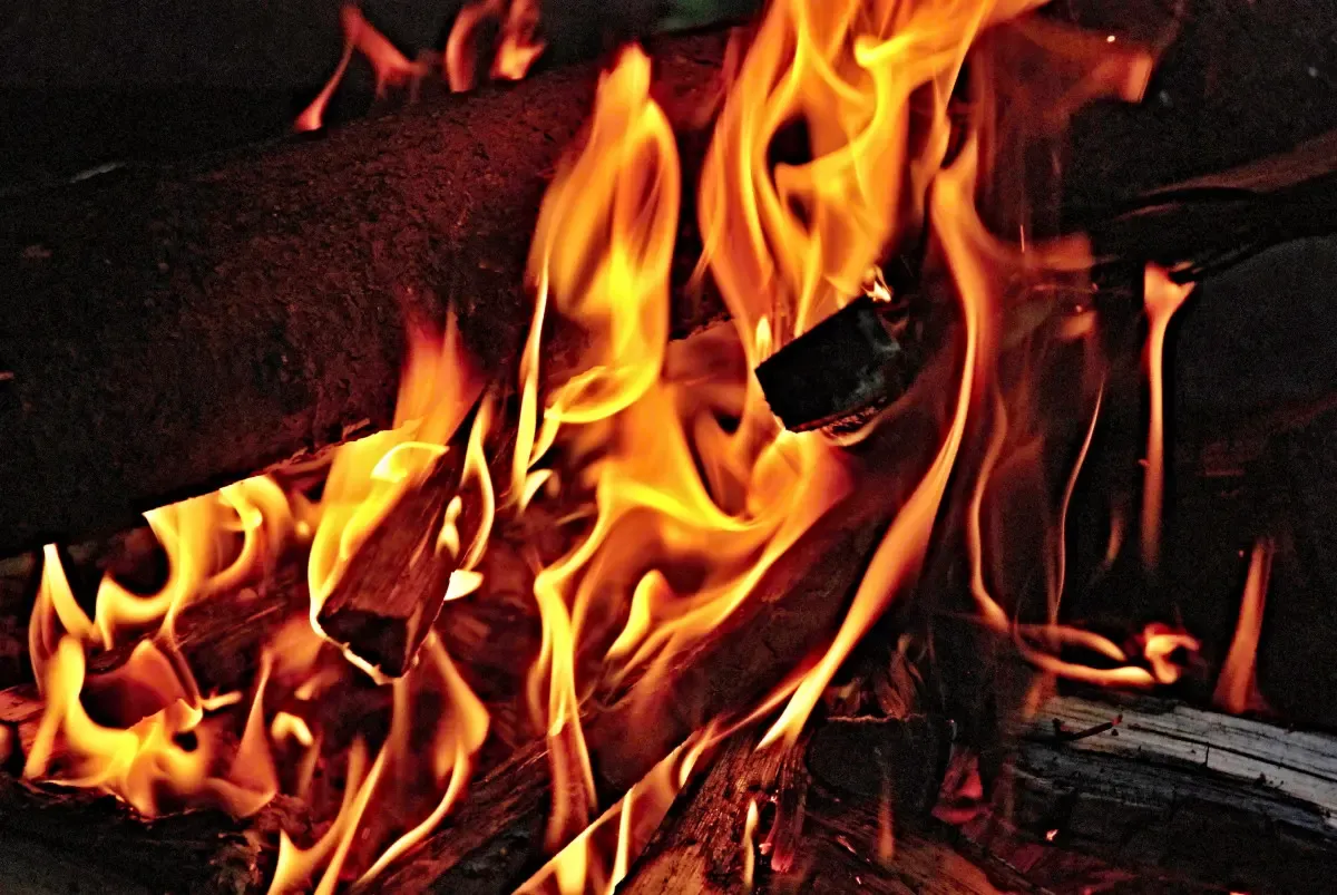 Фото: pxhere.com