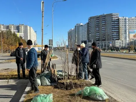 В Сургуте высадили более 70 кустов сирени
