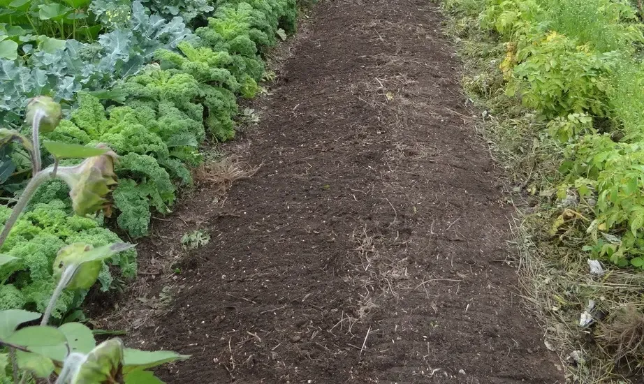 Фото: pxhere.com