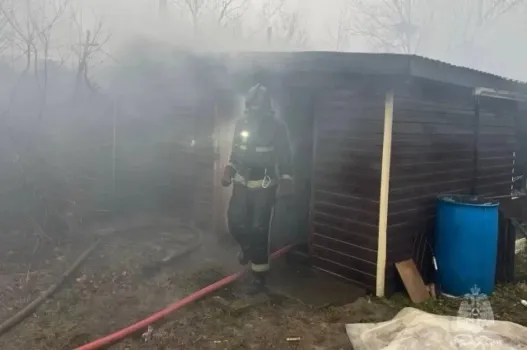 В Сургуте при пожаре в дачном доме погиб мужчина