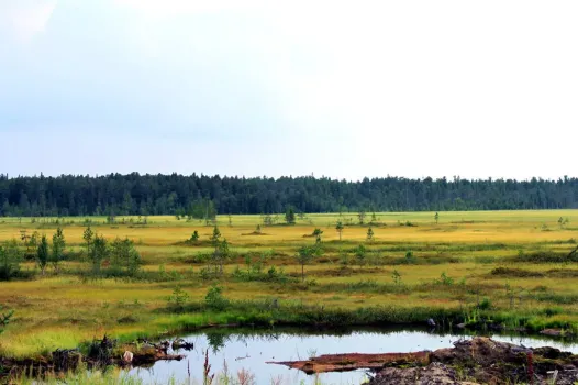 В ХМАО появятся 6 новых заказников и памятников природы