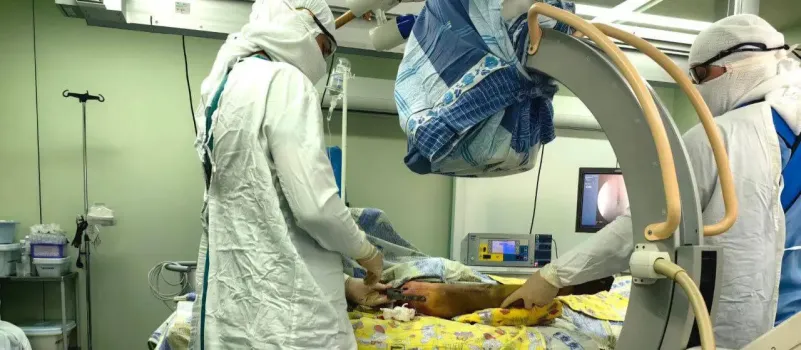 В Сургуте успешно прооперировали 92-летнюю пациентку с переломом плеча
