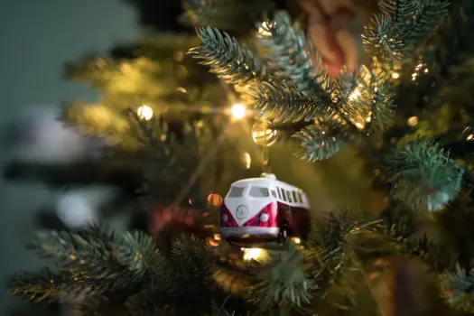 Новый год-2026 в ХМАО: в Югре стартует аукцион на заготовку новогодних елей