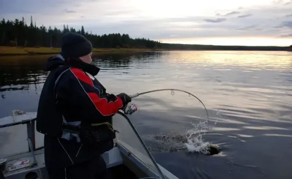 Рыба сама идет на крючок: лунный календарь удачной рыбалки в ноябре