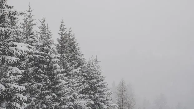 В Югре ожидается метель с ветром до и похолодание до -20 градусов