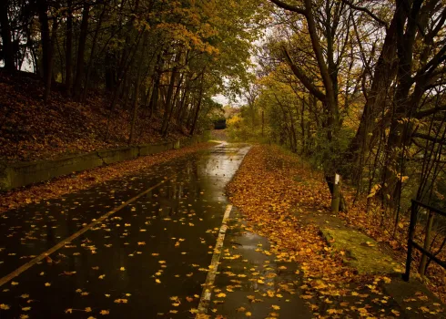 Важная примета погоды на 7 ноября — к долгой зиме: что можно и нельзя делать на Дедовские плачи