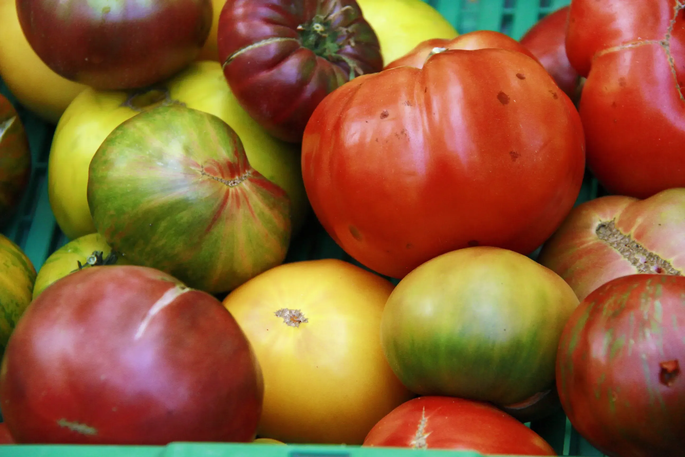 Фото: pxhere.com