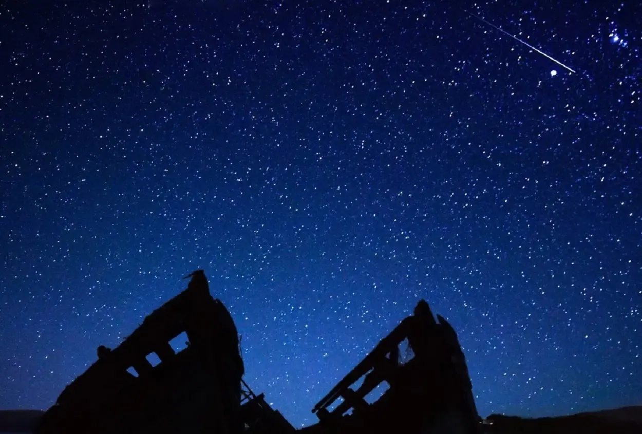 Фото: pxhere.com