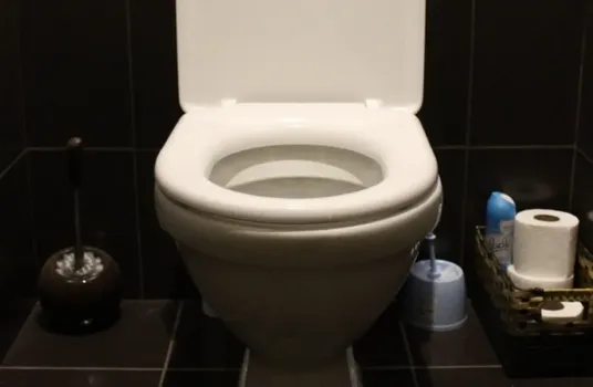 1 стакан в слив — и унитаз не узнать: от налета, мочевого камня и ржавчины не осталось и следа — сияет даже в темноте