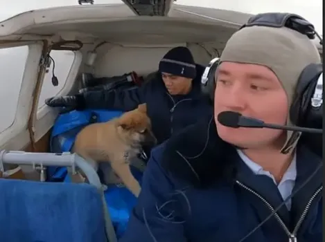 Пес сургутского пилота впервые побывал в невесомости во время полета