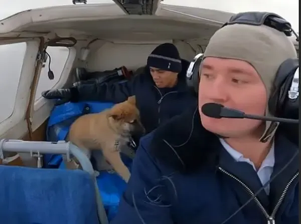 Пес сургутского пилота впервые побывал в невесомости во время полета