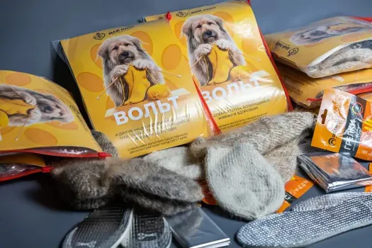 Волонтеры из Сургута отправили на фронт носки из собачьей шерсти