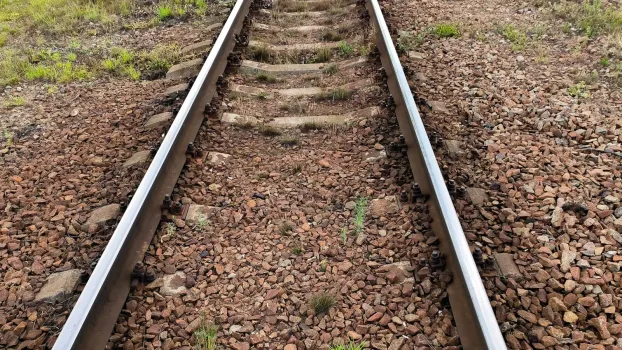 Прокуратура выявила нарушения на железнодорожном переезде в Советском