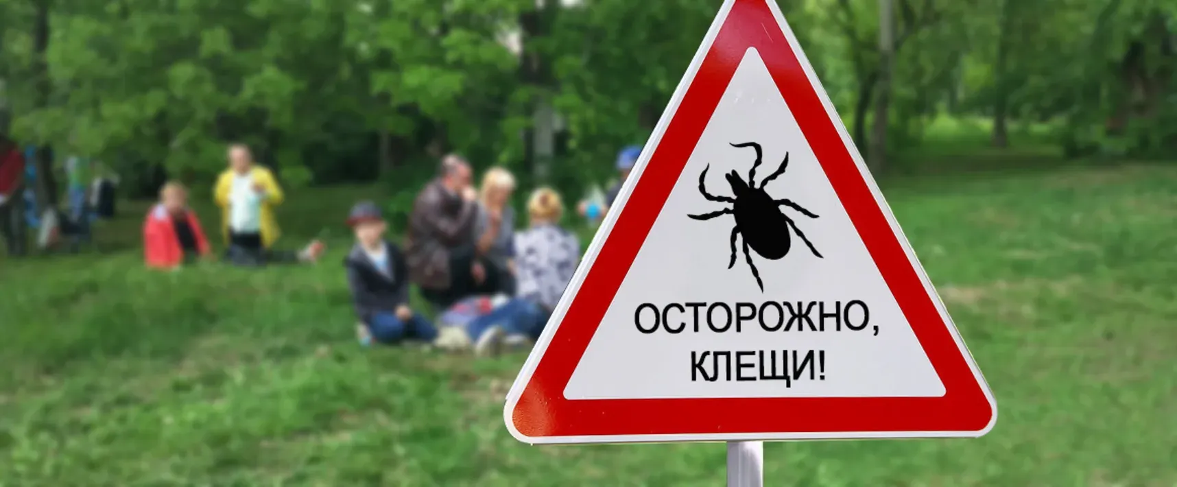 Жительница Югры подхватила болезнь Лайма: клещи атакуют даже в середине осе