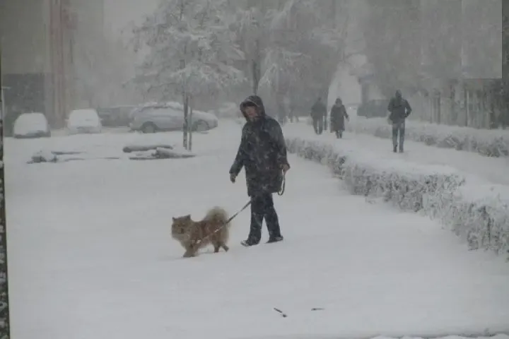 Фото: Илья Стребков