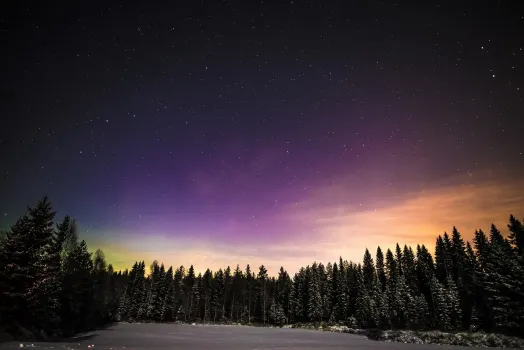 Жизнь коронует и посадит на трон: в жизни этих знаков Зодиака грядут большие перемены к лучшему во второй половине ноября — сплошная удача